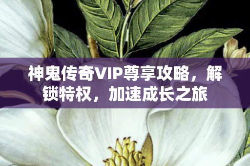 神鬼传奇VIP尊享攻略图片
