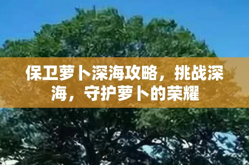 保卫萝卜深海攻略图片