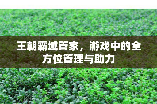 游戏中的全方位管理与助力图片
