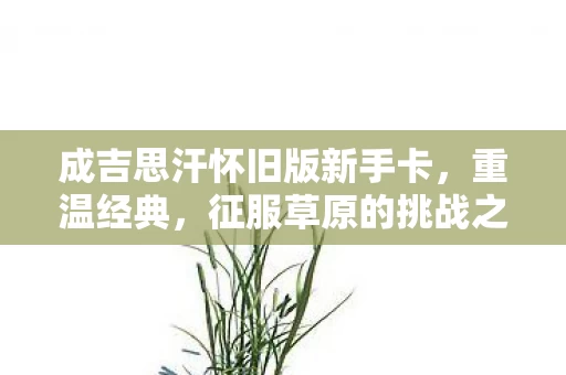 成吉思汗怀旧版新手卡图片
