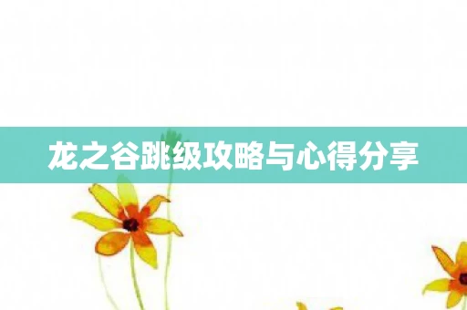龙之谷跳级攻略与心得分享图片