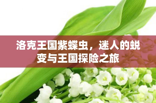 迷人的蜕变与王国探险之旅图片