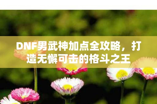 DNF男武神加点全攻略图片