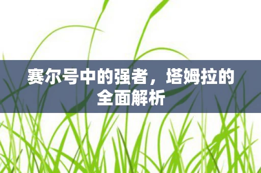 塔姆拉的全面解析图片