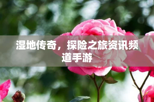 探险之旅资讯频道手游图片