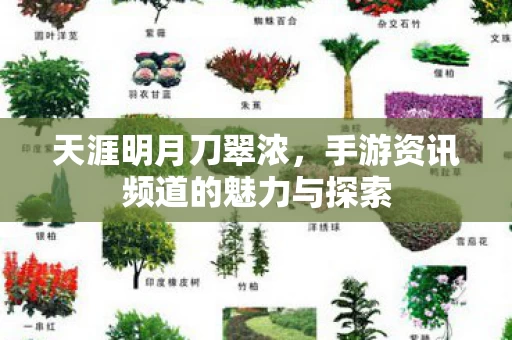 手游资讯频道的魅力与探索图片