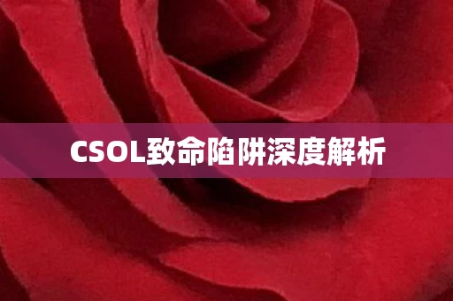 CSOL致命陷阱深度解析图片