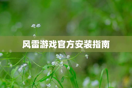 风雷游戏官方安装指南图片