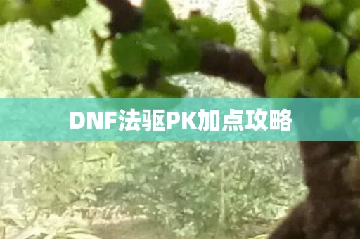 DNF法驱PK加点攻略图片