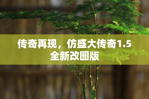 仿盛大传奇1图片