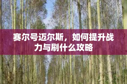 如何提升战力与刷什么攻略图片