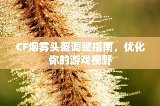 CF烟雾头盔调整指南图片