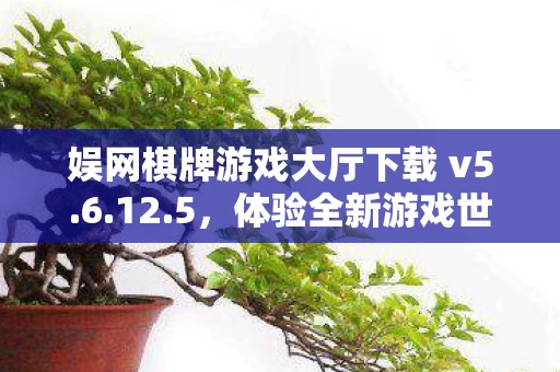 娱网棋牌游戏大厅下载 v5图片