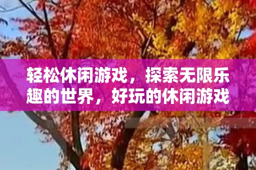 好玩的休闲游戏下载指南图片