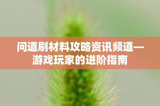 问道刷材料攻略资讯频道图片