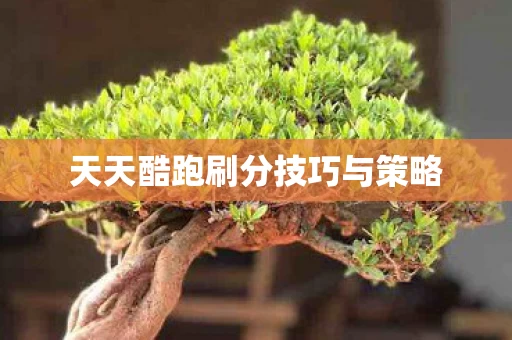 天天酷跑刷分技巧与策略图片