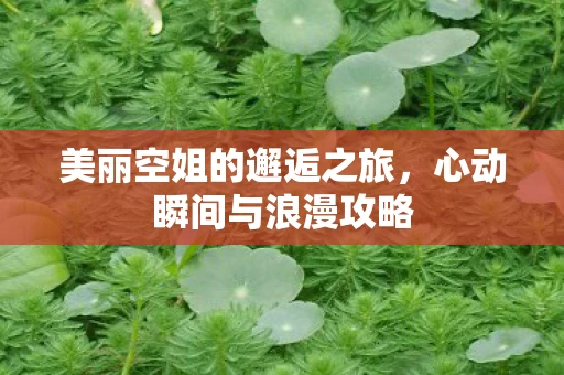 美丽空姐的邂逅之旅图片