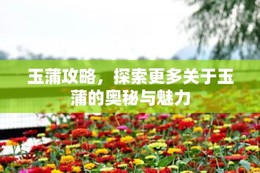 探索更多关于玉蒲的奥秘与魅力图片