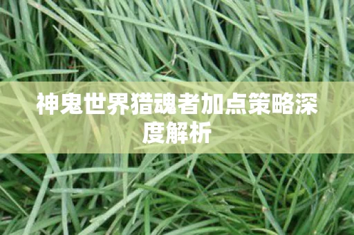 神鬼世界猎魂者加点策略深度解析图片
