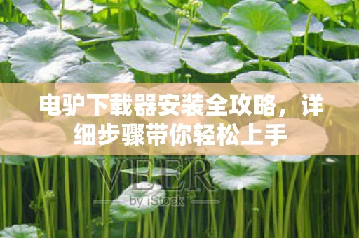 电驴下载器安装全攻略图片