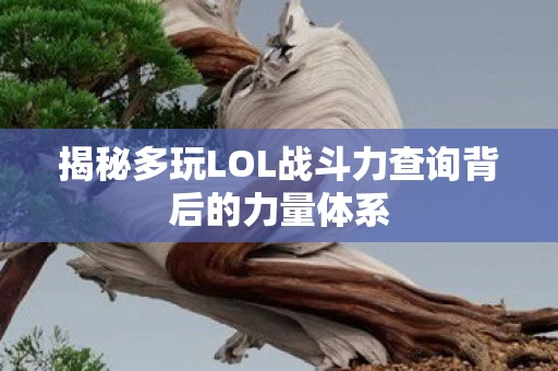 揭秘多玩LOL战斗力查询背后的力量体系图片