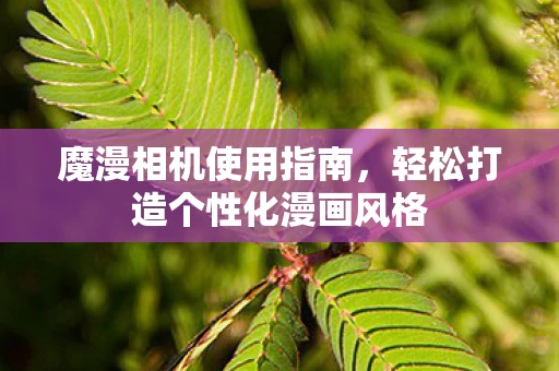 轻松打造个性化漫画风格图片