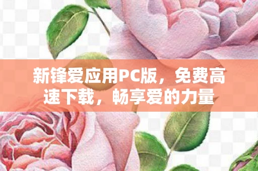 新锋爱应用PC版图片