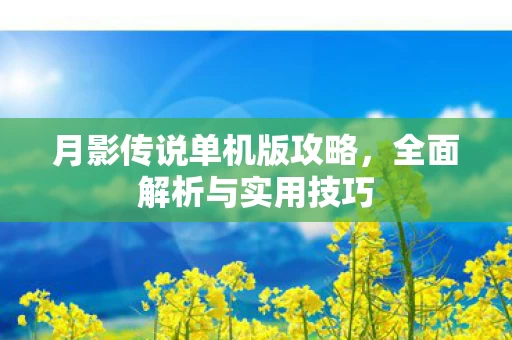月影传说单机版攻略图片