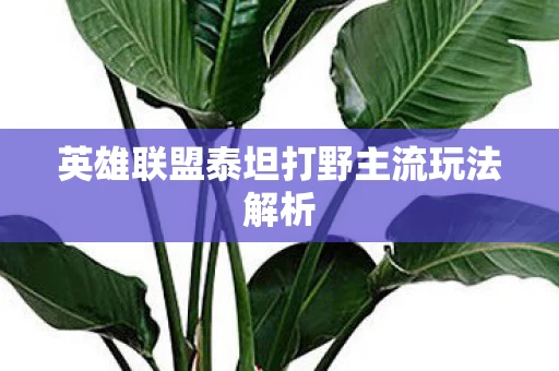 英雄联盟泰坦打野主流玩法解析图片