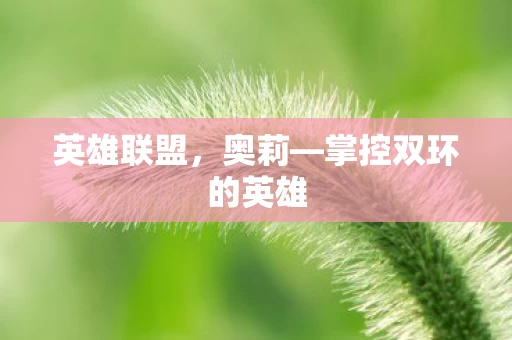 掌控双环的英雄图片