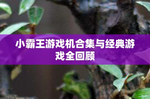 小霸王游戏机合集与经典游戏全回顾图片