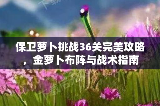 保卫萝卜挑战36关完美攻略图片