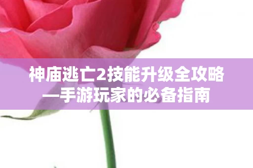 神庙逃亡2技能升级全攻略图片