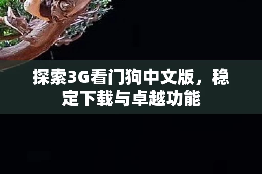 探索3G看门狗中文版图片