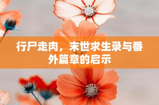 末世求生录与番外篇章的启示图片