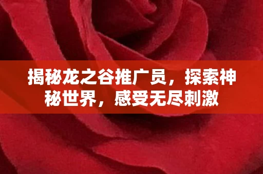 揭秘龙之谷推广员图片