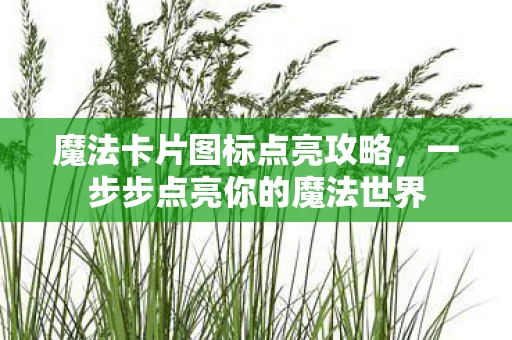 一步步点亮你的魔法世界图片