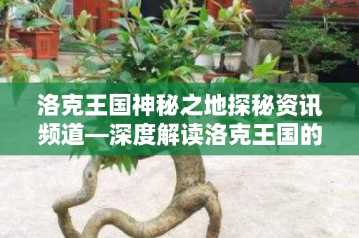 洛克王国神秘之地探秘资讯频道图片