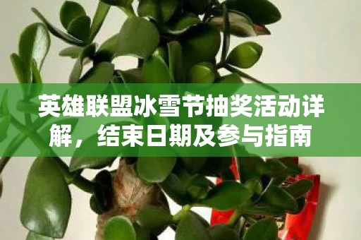 英雄联盟冰雪节抽奖活动详解图片