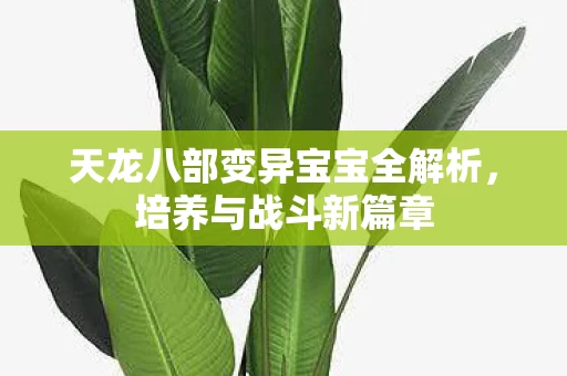 天龙八部变异宝宝全解析图片
