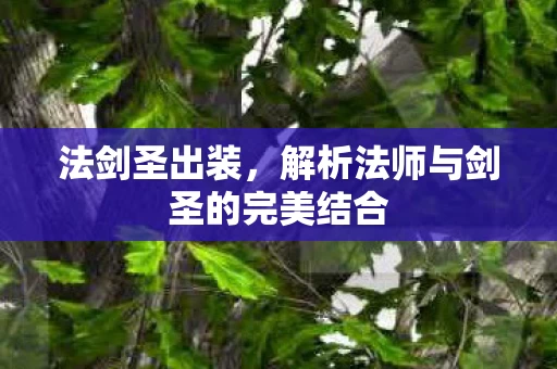 解析法师与剑圣的完美结合图片