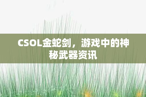 游戏中的神秘武器资讯图片