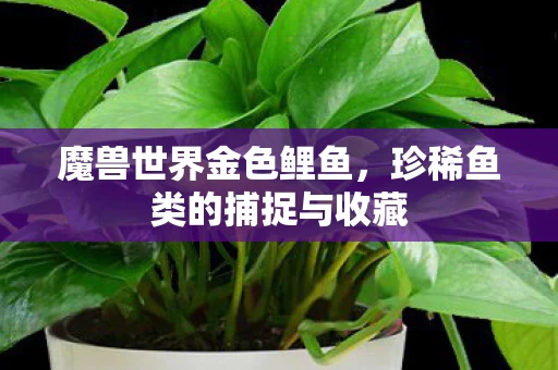 珍稀鱼类的捕捉与收藏图片