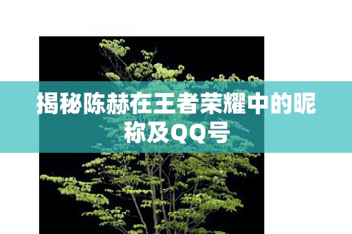 揭秘陈赫在王者荣耀中的昵称及QQ号图片