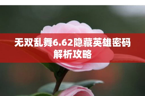 62隐藏英雄密码解析攻略图片