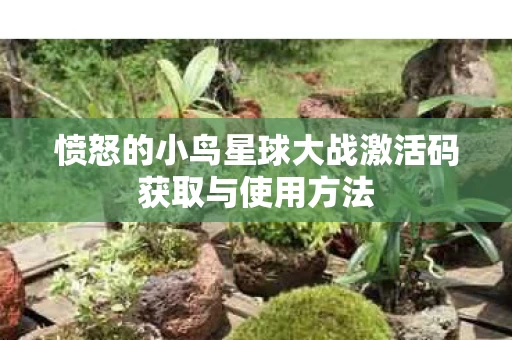 愤怒的小鸟星球大战激活码获取与使用方法图片