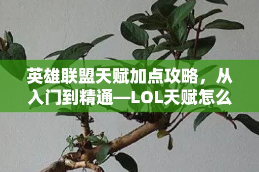 英雄联盟天赋加点攻略图片