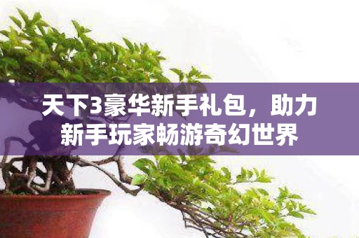 助力新手玩家畅游奇幻世界图片