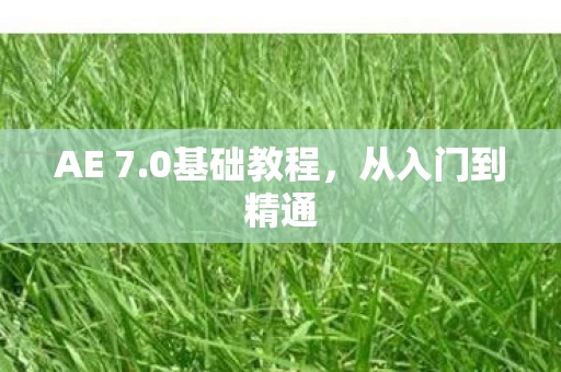从入门到精通图片