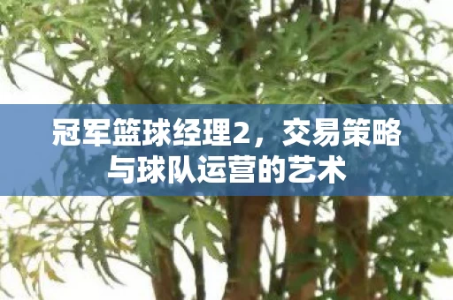 交易策略与球队运营的艺术图片